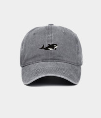 WASHED KILLER WHALE.